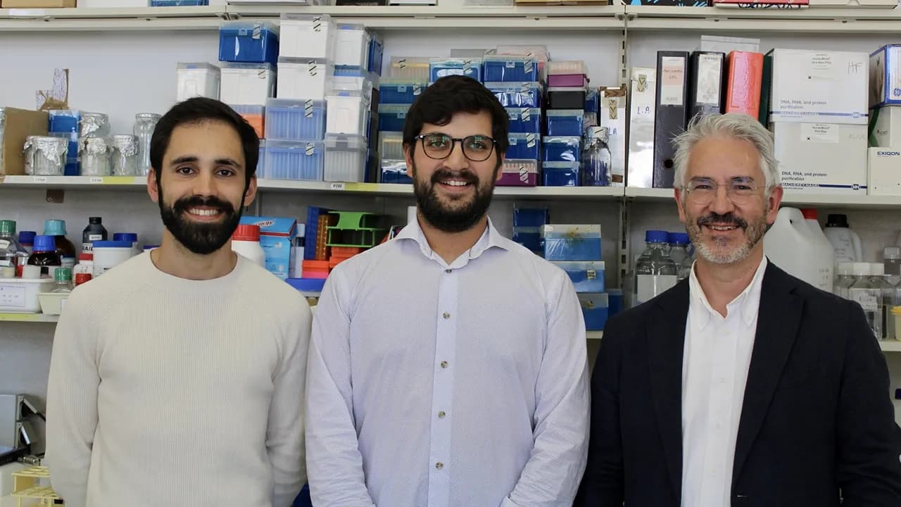 Da esquerda para a direita, Kevin Leandro, David Ramos e Luís Pereira de Almeida @ CNC-UC
